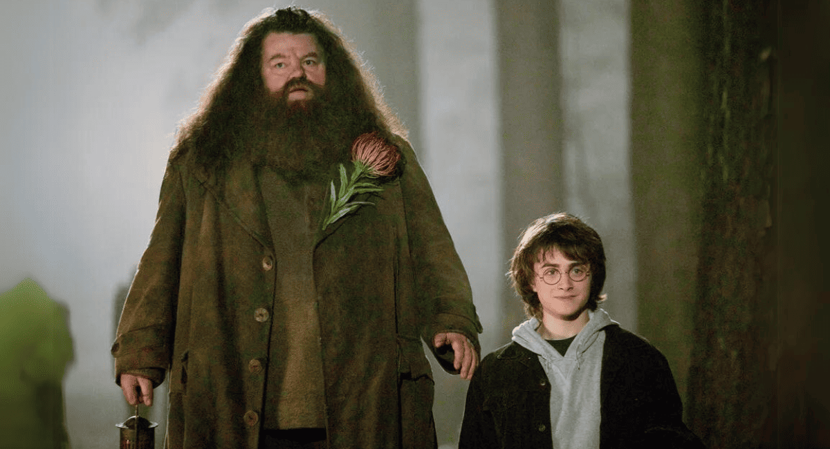 Harry Potter e Hagrid